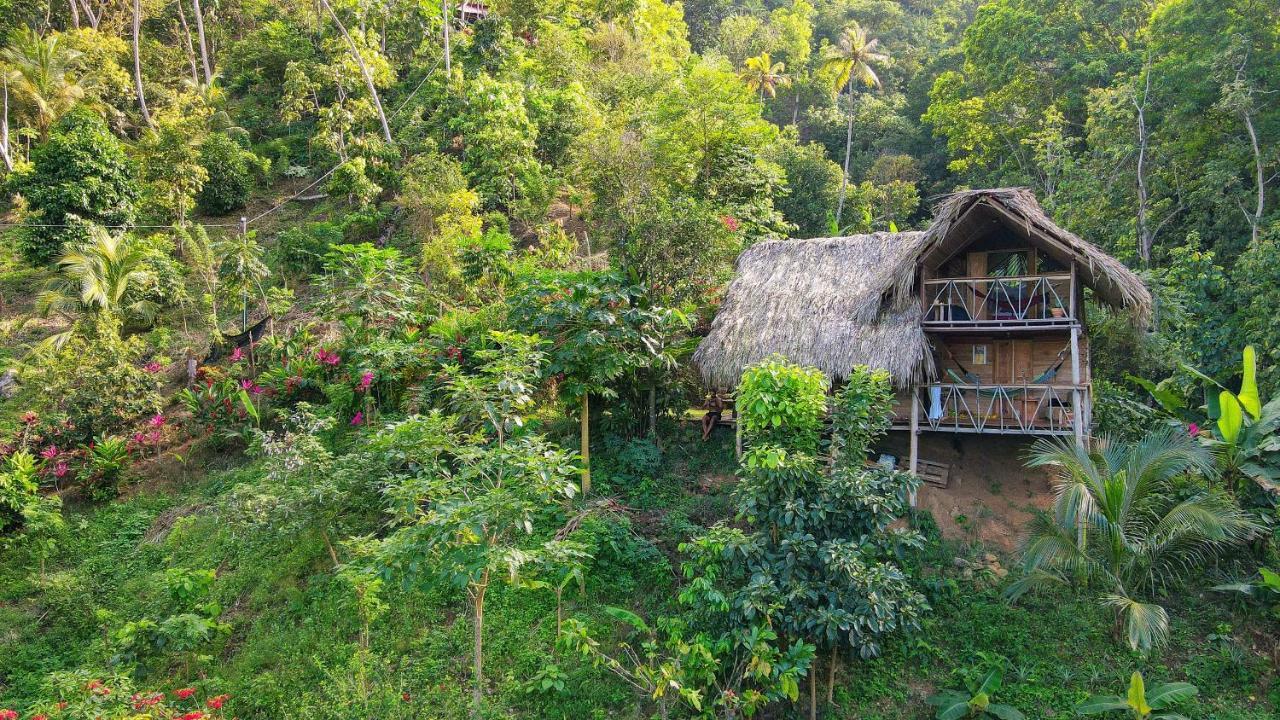 Finca La Selvita Chocolate Experience Buritaca Eksteriør billede