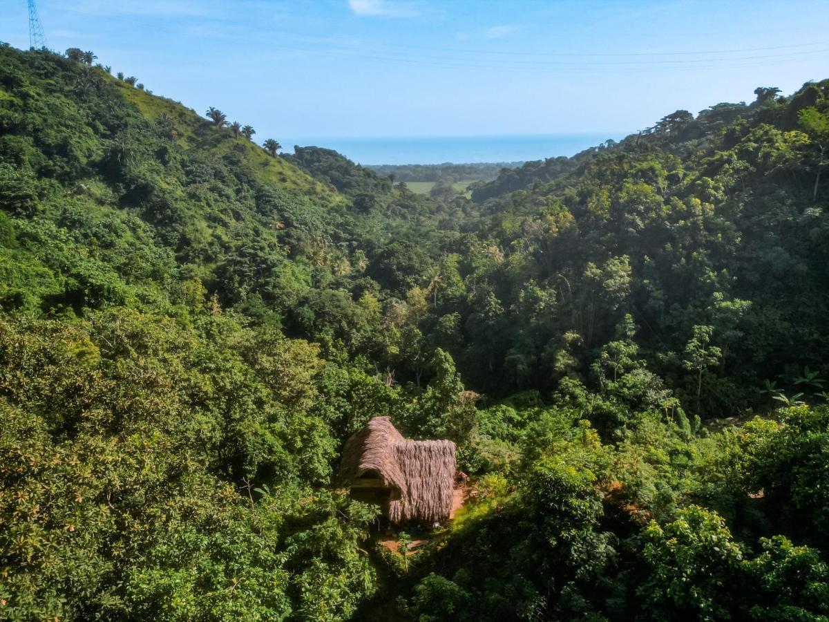 Finca La Selvita Chocolate Experience Buritaca Eksteriør billede