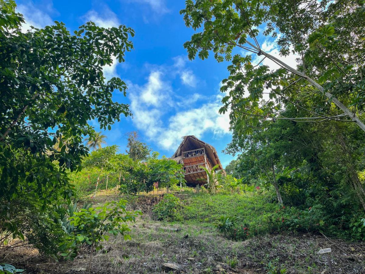 Finca La Selvita Chocolate Experience Buritaca Eksteriør billede
