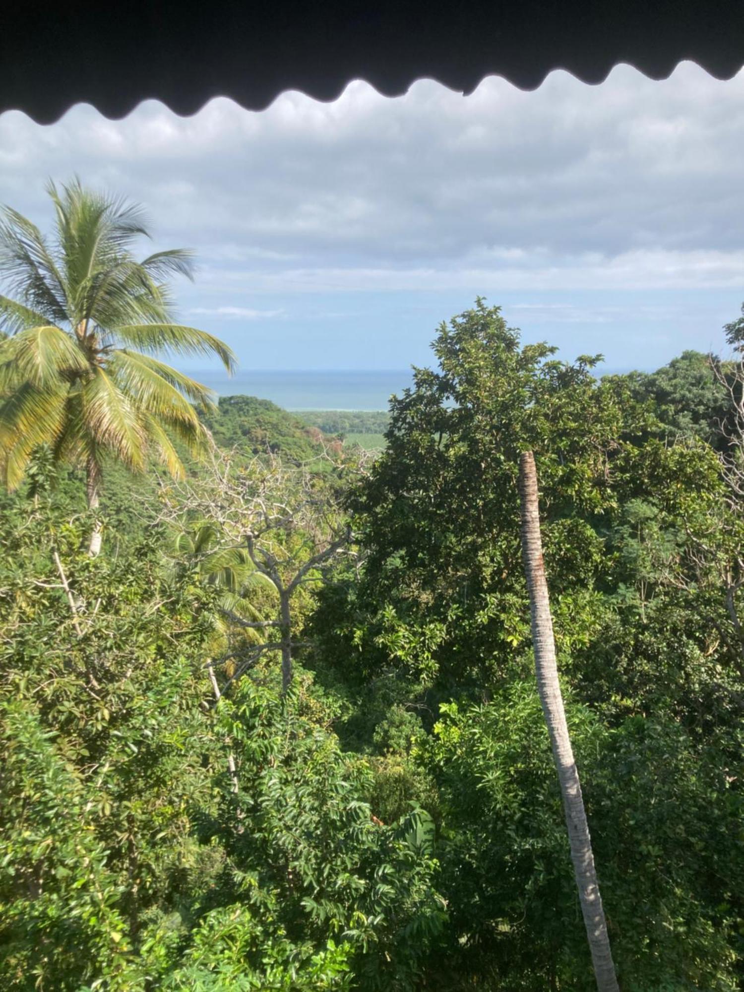Finca La Selvita Chocolate Experience Buritaca Eksteriør billede