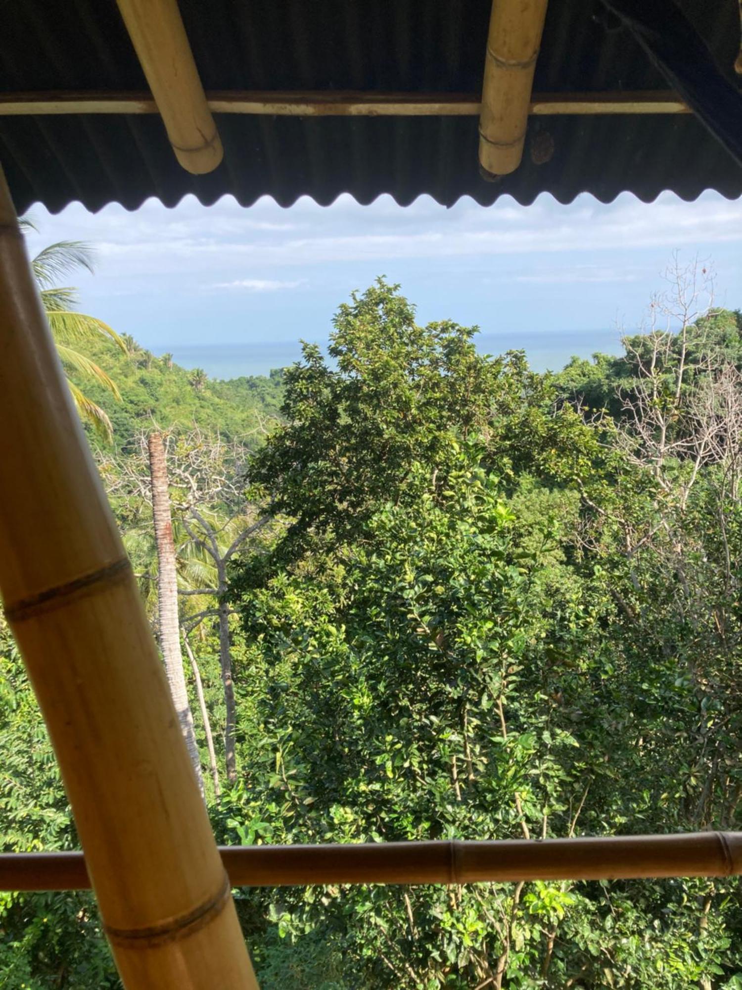 Finca La Selvita Chocolate Experience Buritaca Eksteriør billede