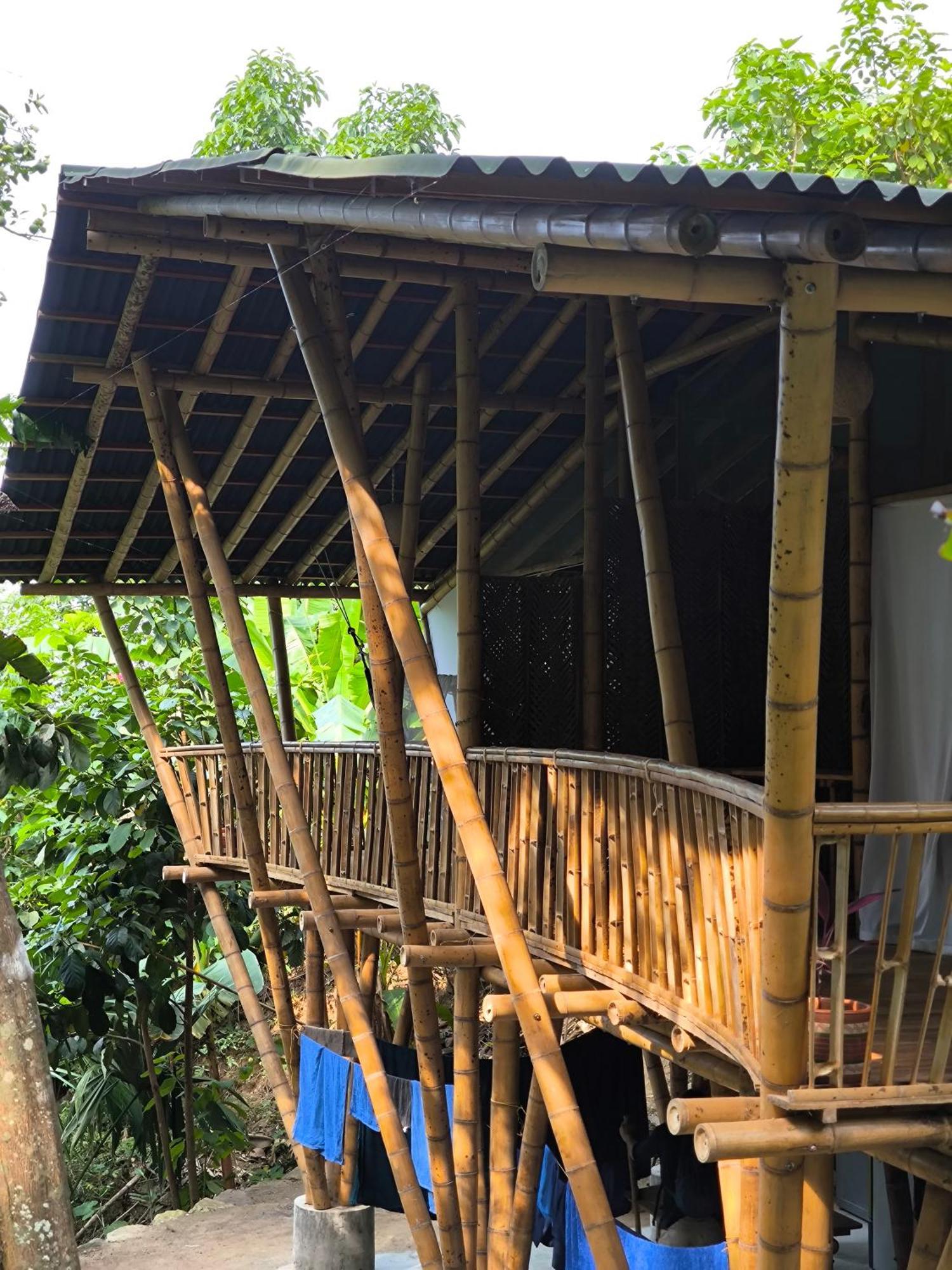 Finca La Selvita Chocolate Experience Buritaca Eksteriør billede