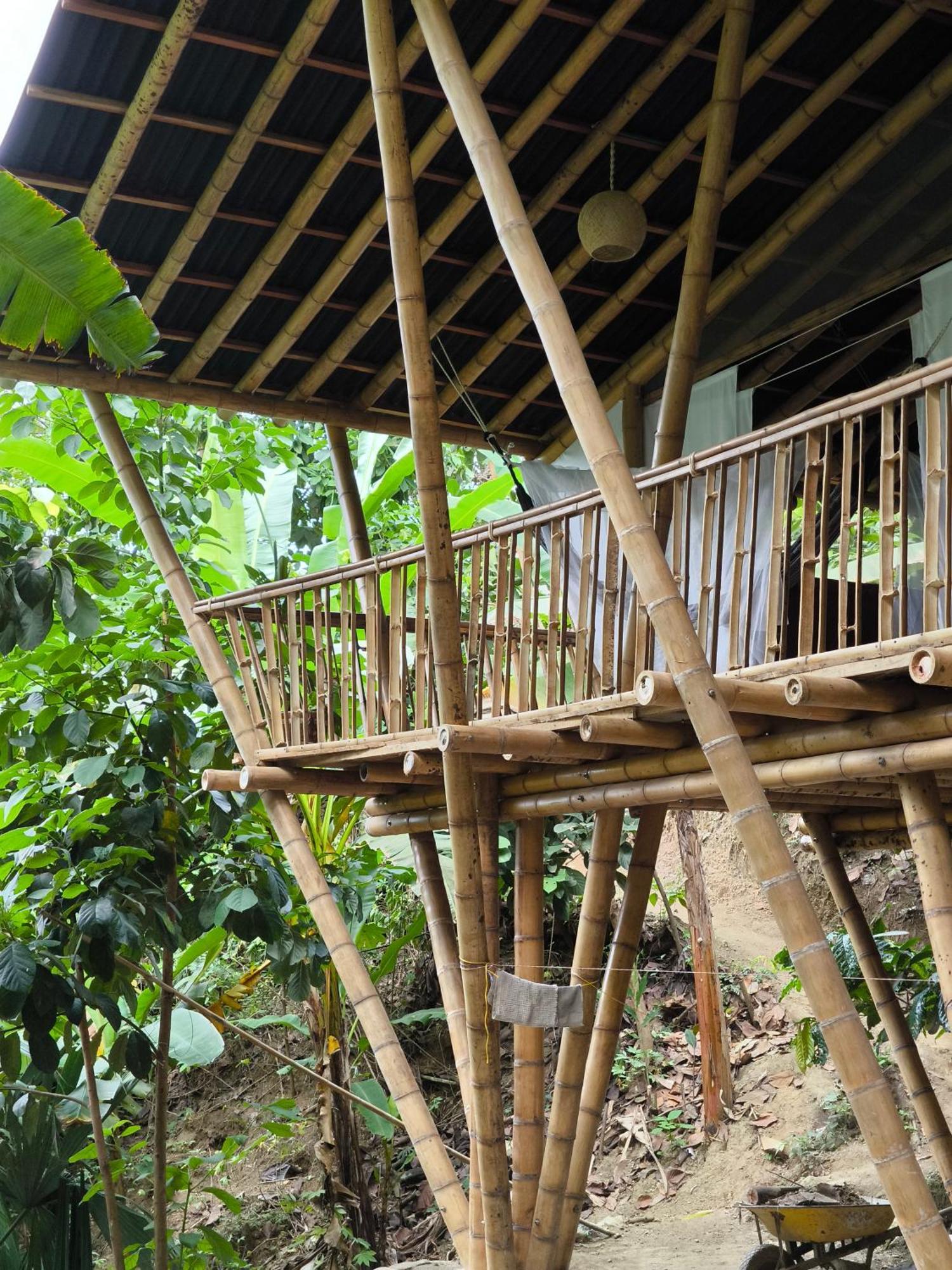 Finca La Selvita Chocolate Experience Buritaca Eksteriør billede
