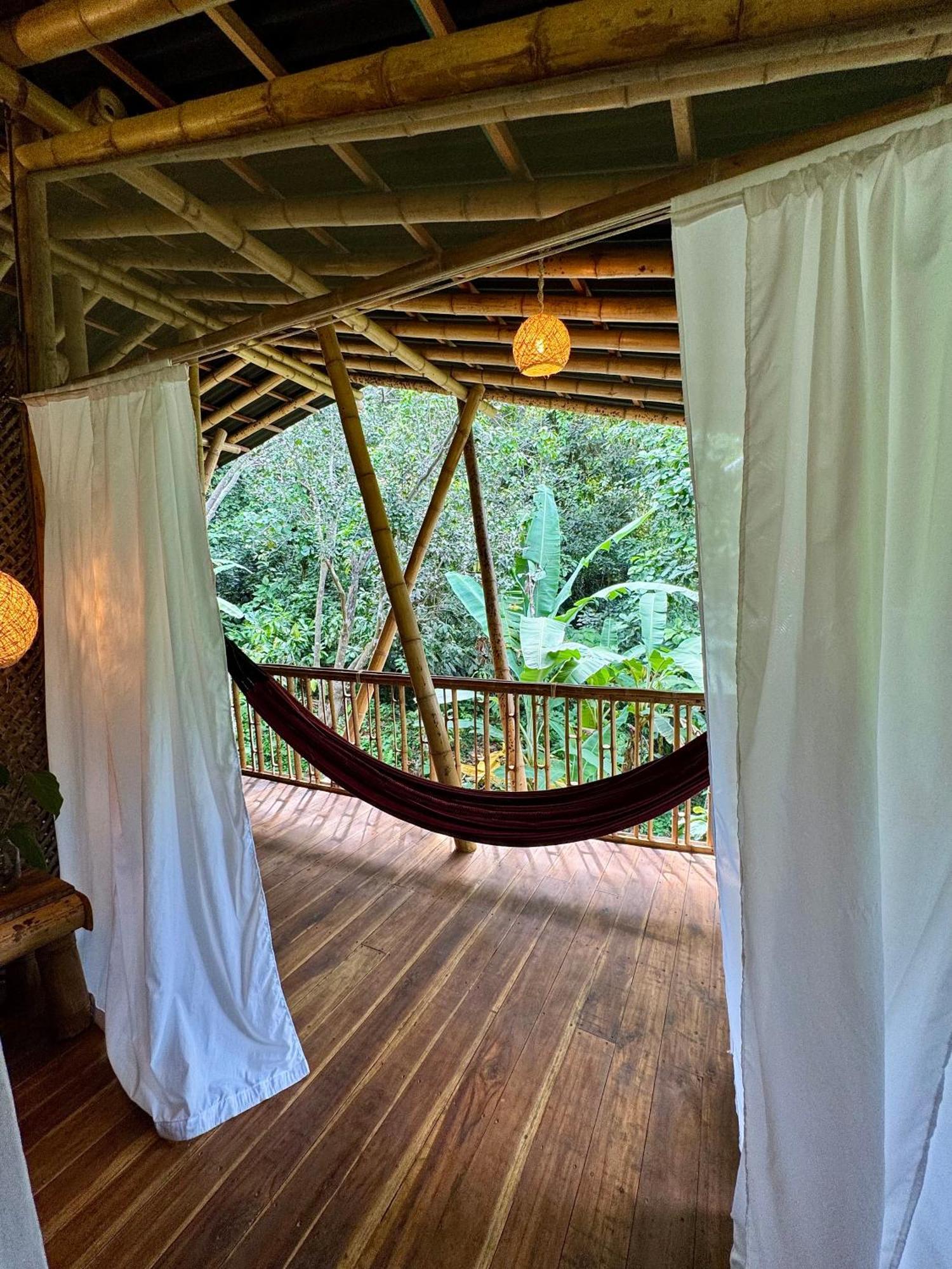 Finca La Selvita Chocolate Experience Buritaca Eksteriør billede
