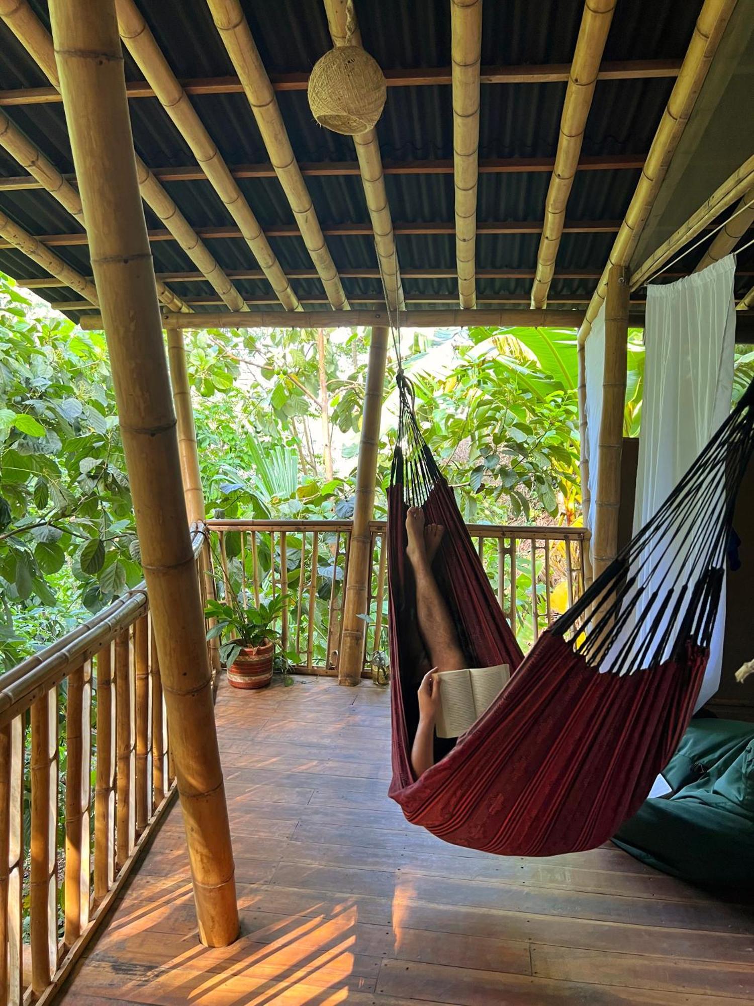 Finca La Selvita Chocolate Experience Buritaca Eksteriør billede