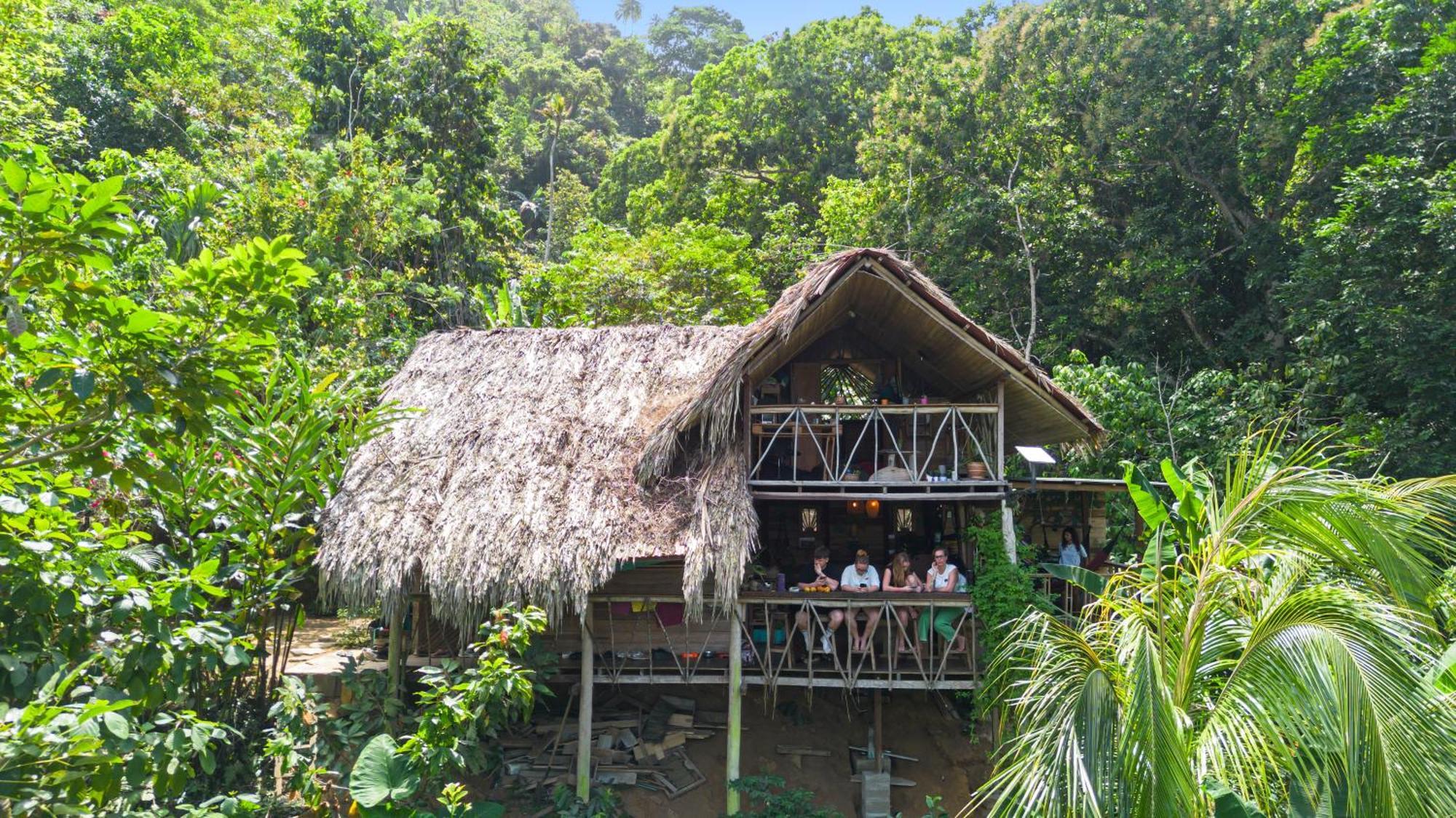 Finca La Selvita Chocolate Experience Buritaca Eksteriør billede
